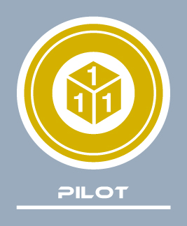 Pilot