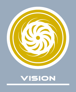 Vision